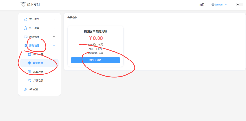 腾渊码支付临时平台使用教程-腾渊创想
